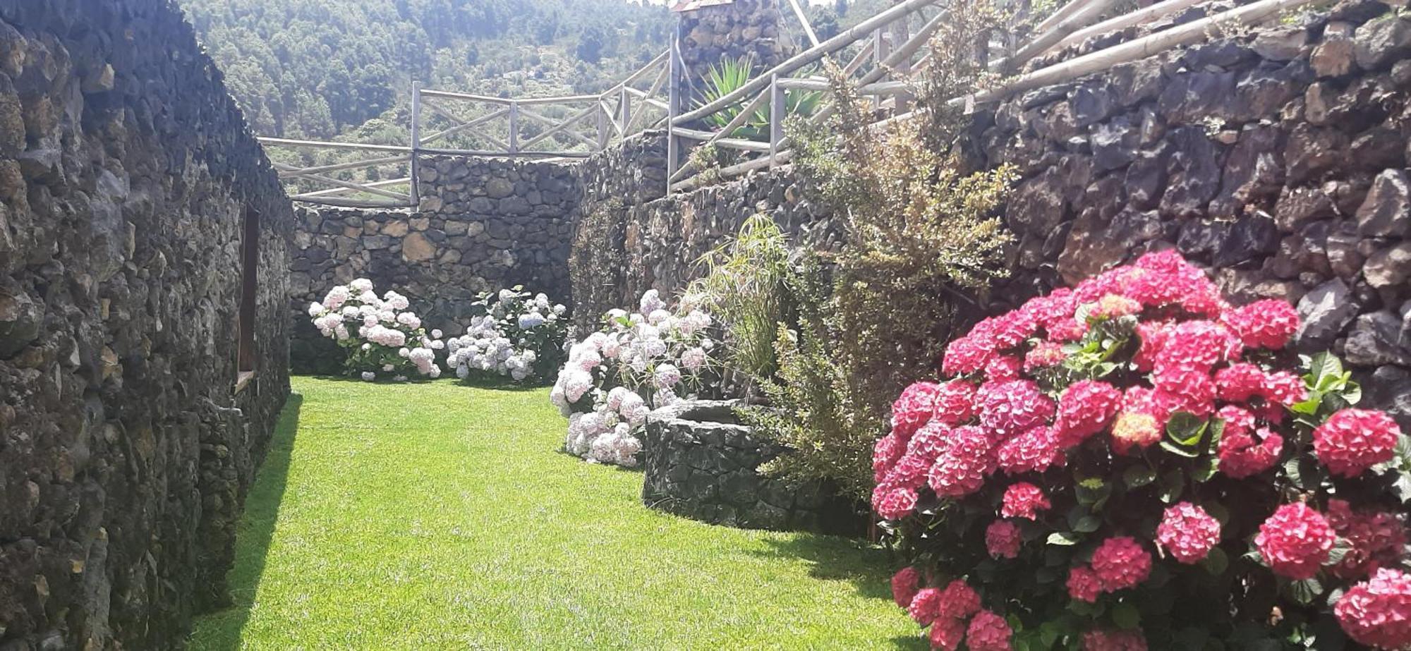 Casas Rurales Los Guinderos Икод-де-лос-Винос Экстерьер фото